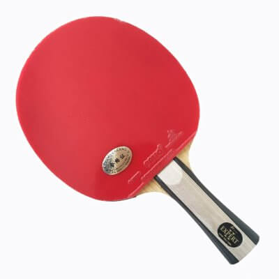 Palio Expert 2 - Migliore racchetta da Ping Pong per gli effetti