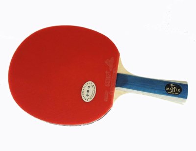 Palio Master 2 - Miglior racchetta da Ping Pong per le prime gare